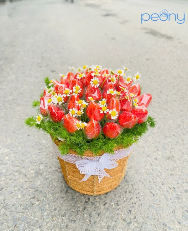 Giỏ dâu tây