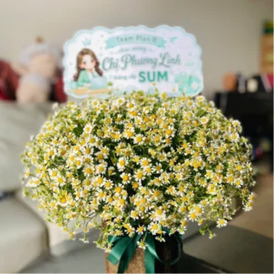 Hoa tươi mỗi ngày